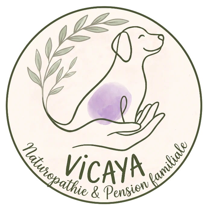 naturopathie animalière animale canine chien